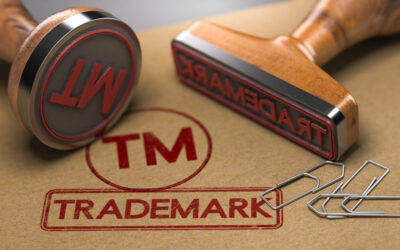 What You Need to Know About Successful Trademark Searches